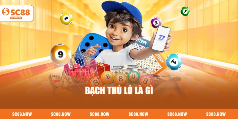 Bạch Thủ Lô Là Gì