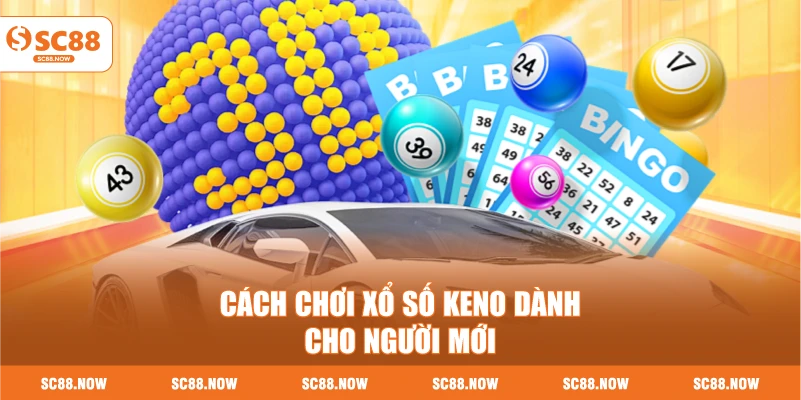 Cách Chơi Xổ Số Keno Dành Cho Người Mới
