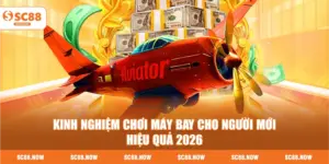 Kinh Nghiệm Chơi Máy Bay Cho Người Mới Hiệu Quả 2026