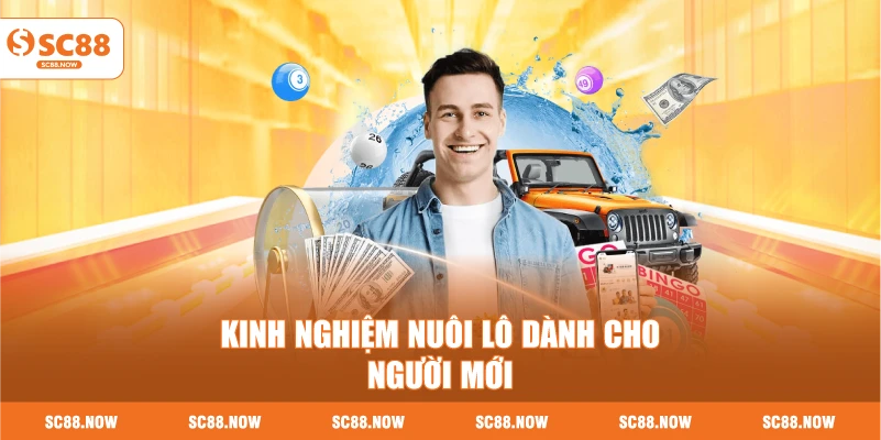 Kinh Nghiệm Nuôi Lô Dành Cho Người Mới