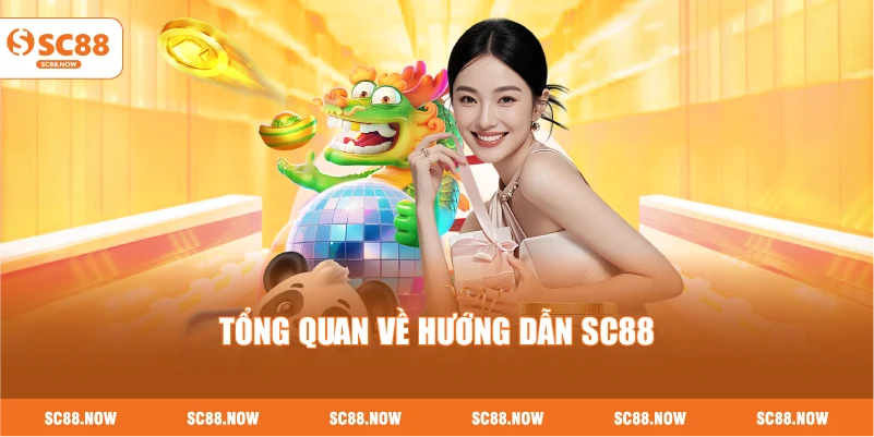 Tổng Quan Về Hướng Dẫn SC88